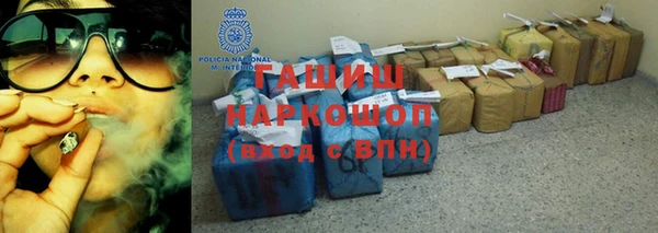 молекула духа Козельск