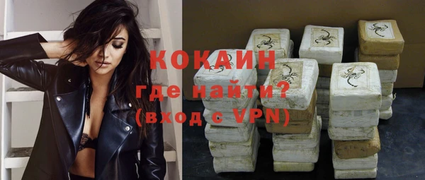молекула духа Козельск