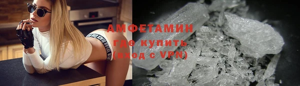 молекула духа Козельск