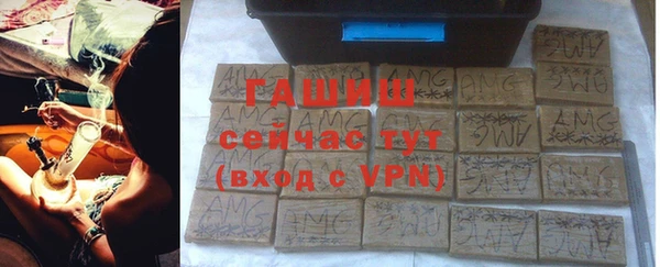 молекула духа Козельск
